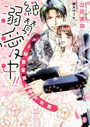 絶賛溺愛中!!ドS秘書室長の極甘求婚 オパール文庫