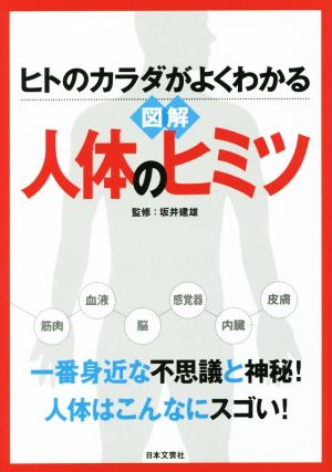 図解人体のヒミツ ヒトのカラダがよくわかる