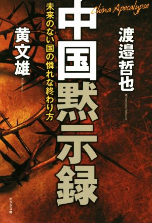 中国黙示録 未来のない国の憐れな終わり方