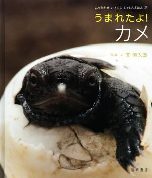 うまれたよ！カメ よみきかせいきものしゃしんえほん25 新品本・書籍