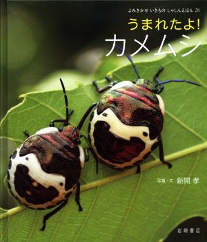 うまれたよ！カメムシ よみきかせいきものしゃしんえほん28