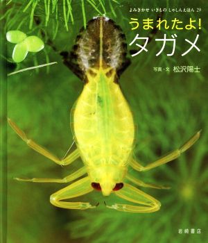 うまれたよ！タガメ よみきかせいきものしゃしんえほん29