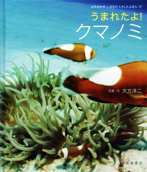 うまれたよ！クマノミ よみきかせいきものしゃしんえほん30