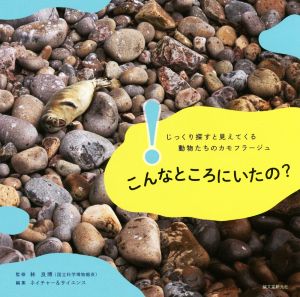 こんなところにいたの？じっくり探すと見えてくる動物たちのカモフラージュ