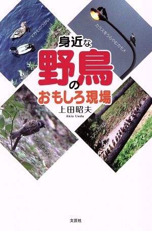 身近な野鳥のおもしろ現場