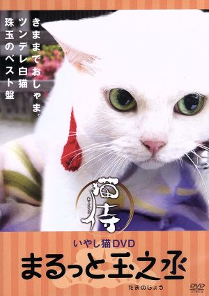 いやし猫DVD 猫侍 まるっと玉之丞