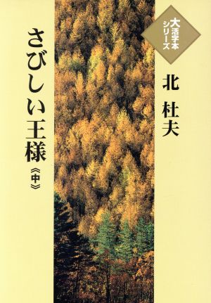 さびしい王様 大活字版(中) 大活字本シリーズ