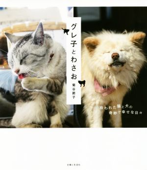 グレ子とわさお 拾われた猫と犬の奇妙で幸せな日々