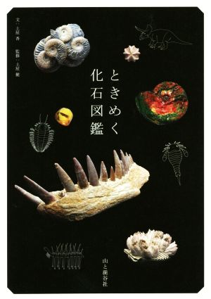 ときめく化石図鑑Book for discovery