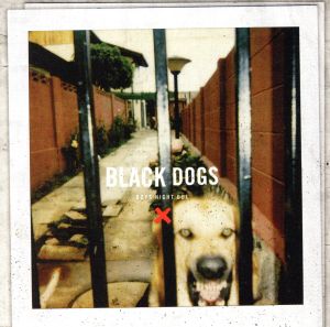 【輸入盤】Black Dogs