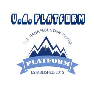 V/A PLATFORM