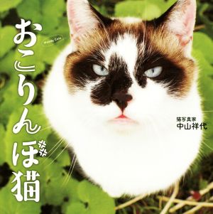 写真集 おこりんぼ猫