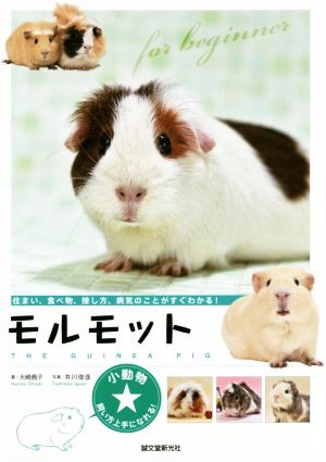 モルモット 住まい、食べ物、接し方、病気のことがすぐわかる！ 小動物★飼い方上手になれる！