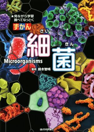 ずかん細菌見ながら学習調べてなっとく