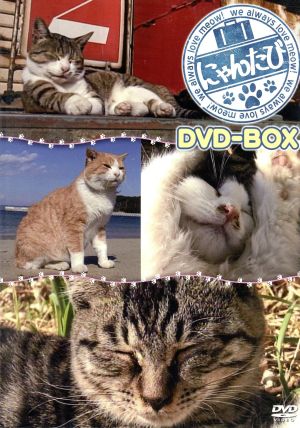 にゃんたび DVD-BOX