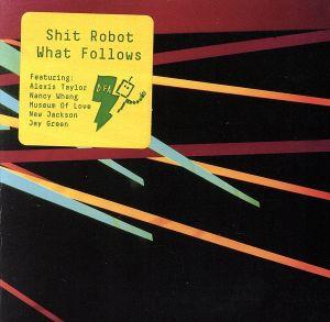 【輸入盤】What Follows