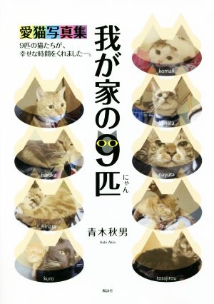 我が家の9匹 愛猫写真集