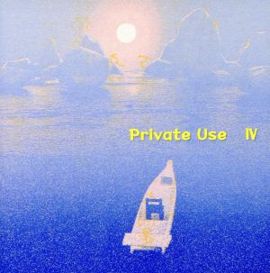 Private Use Ⅳ