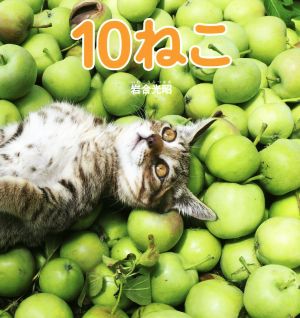 10ねこ