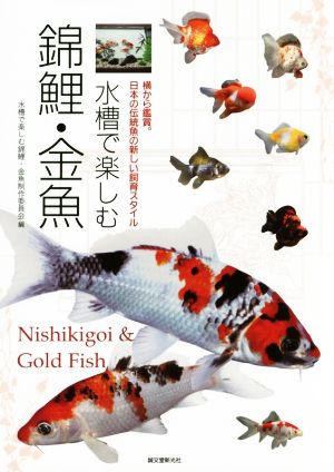 水槽で楽しむ錦鯉・金魚 横から鑑賞。日本の伝統魚の新しい飼育スタイル