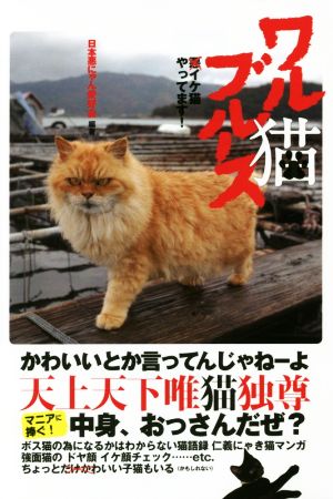 写真集 ワル猫ブルース 悪イケ猫やってます！