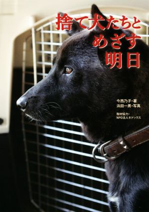 捨て犬たちとめざす明日 ノンフィクション知られざる世界