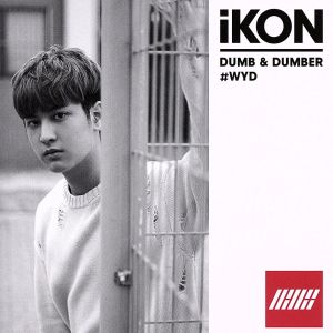 DUMB & DUMBER(iKONIC JAPAN・YGEX SHOP限定盤 CHANWOO盤)