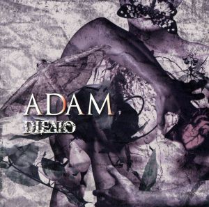 ADAM(Btype)