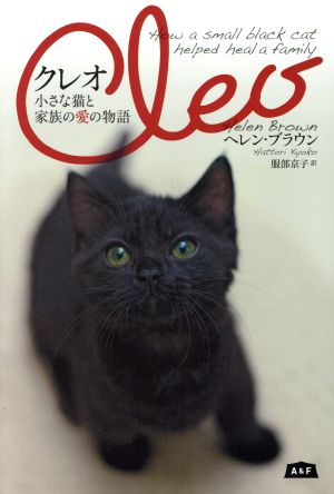 クレオ小さな猫と家族の愛の物語