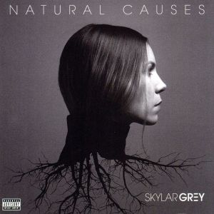 【輸入盤】Natural Causes