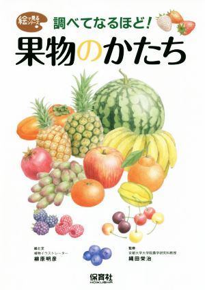 調べてなるほど！果物のかたち 絵で見るシリーズ