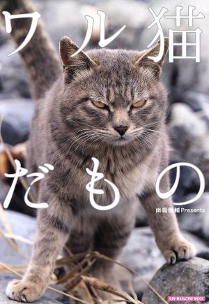 ワル猫だものSUN-MAGAZINE MOOK