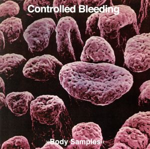 【輸入盤】BODY SAMPLES