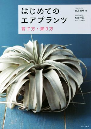 はじめてのエアプランツ育て方・飾り方