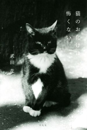 猫のお化けは怖くない