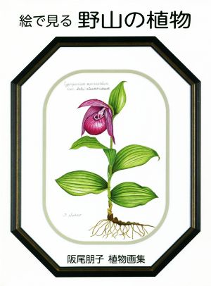絵で見る野山の植物阪尾朋子植物画集