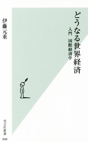 どうなる世界経済 入門 国際経済学 光文社新書848