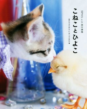 写真集 こねことひよこ