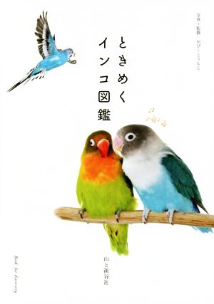 ときめくインコ図鑑 Tokimeku Zukan+