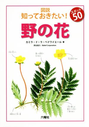 図説 知っておきたい！ スポット50 野の花Rikuyosha Children & YA Books