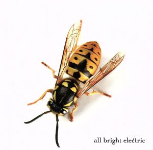 【輸入盤】ALL BRIGHT ELECTRIC