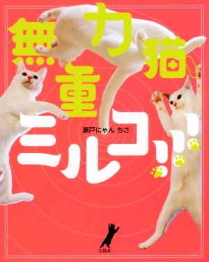 無重力猫、ミルコ!!!