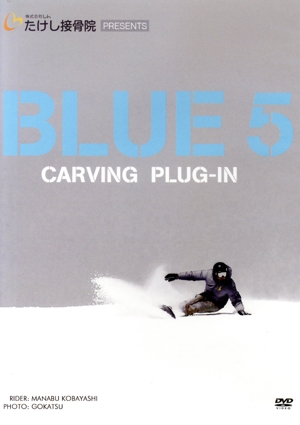 CARVING PLUG-IN BLUE 5