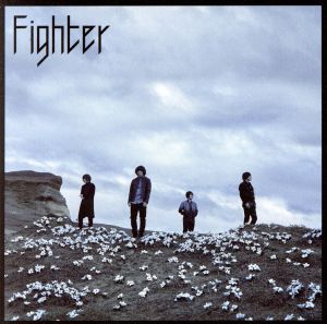 Fighter