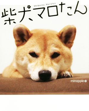 写真集 柴犬マロたん