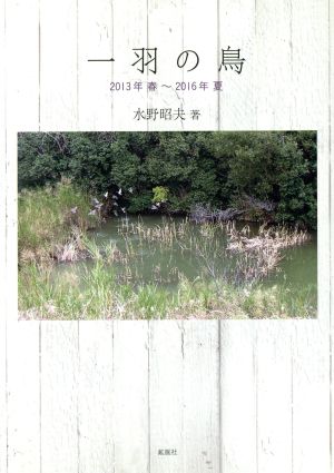 一羽の鳥 2013年春-2016年夏