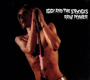 【輸入盤】RAW POWER