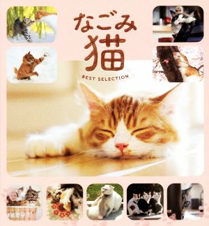 写真集 なごみ猫 BEST SELECTION