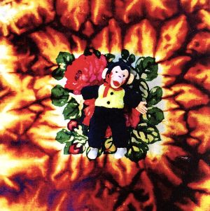 【輸入盤】Fireplace: Thenotthe Thenottheotherside/Member of Mellowhype