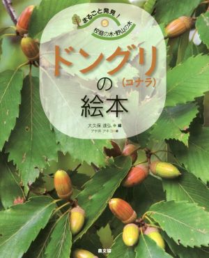 ドングリ〈コナラ〉の絵本 まるごと発見！校庭の木・野山の木5